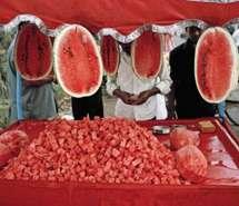 吃瓜微信群众图片大全集,揭秘网络热议背后的趣味瞬间