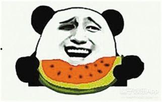 阿奇和阿星化身吃瓜群众,揭秘娱乐圈幕后风云