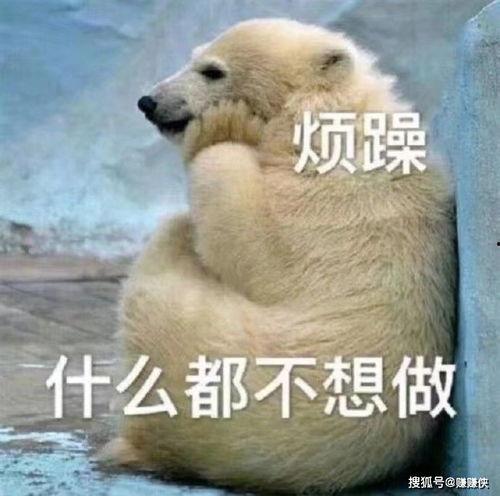 吃瓜群众爆笑图片,笑翻天的吃瓜群众爆笑图片大盘点