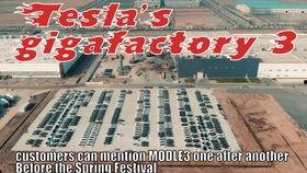 吃瓜群众报复消费,一场全民反击的狂欢