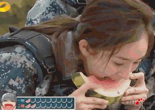 怎样做回吃瓜群众视频教程,跟随视频教程轻松入门