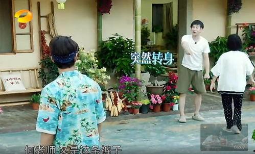 丰台区吃瓜群众事件真相,真相揭秘与反思