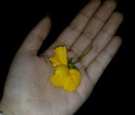 顶级吃瓜群众视频大全,视频大全中的热门事件与幕后真相