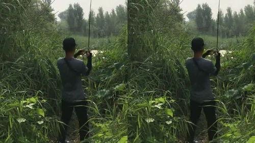 吃瓜群众动作大全,揭秘网络热议背后的趣味瞬间